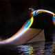 Illustration for article titled Night Wakeboarding with Light Boards Paints Gorgeously Mesmerizing Pictures